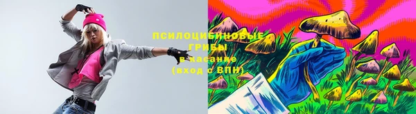 2c-b Вязьма
