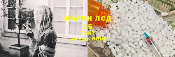 стаф Вяземский