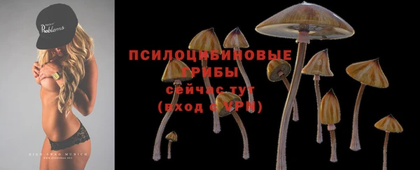 спиды Волоколамск