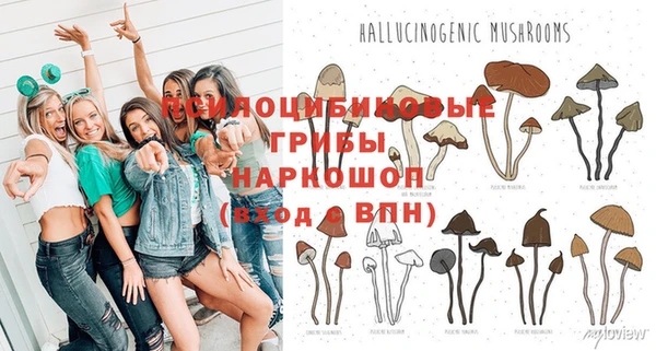 2c-b Вязьма