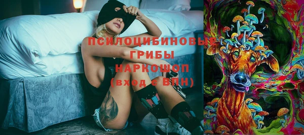спиды Волоколамск