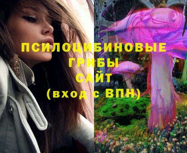 спиды Волоколамск
