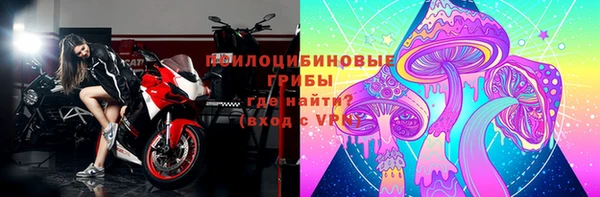 стаф Володарск