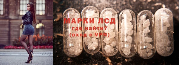 стаф Вяземский