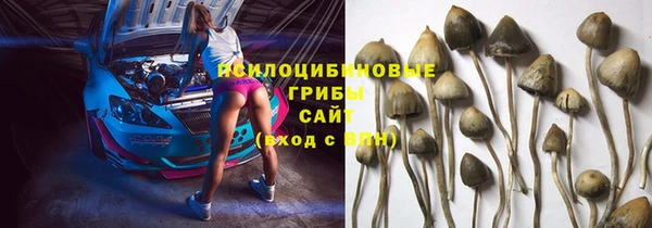 стаф Володарск